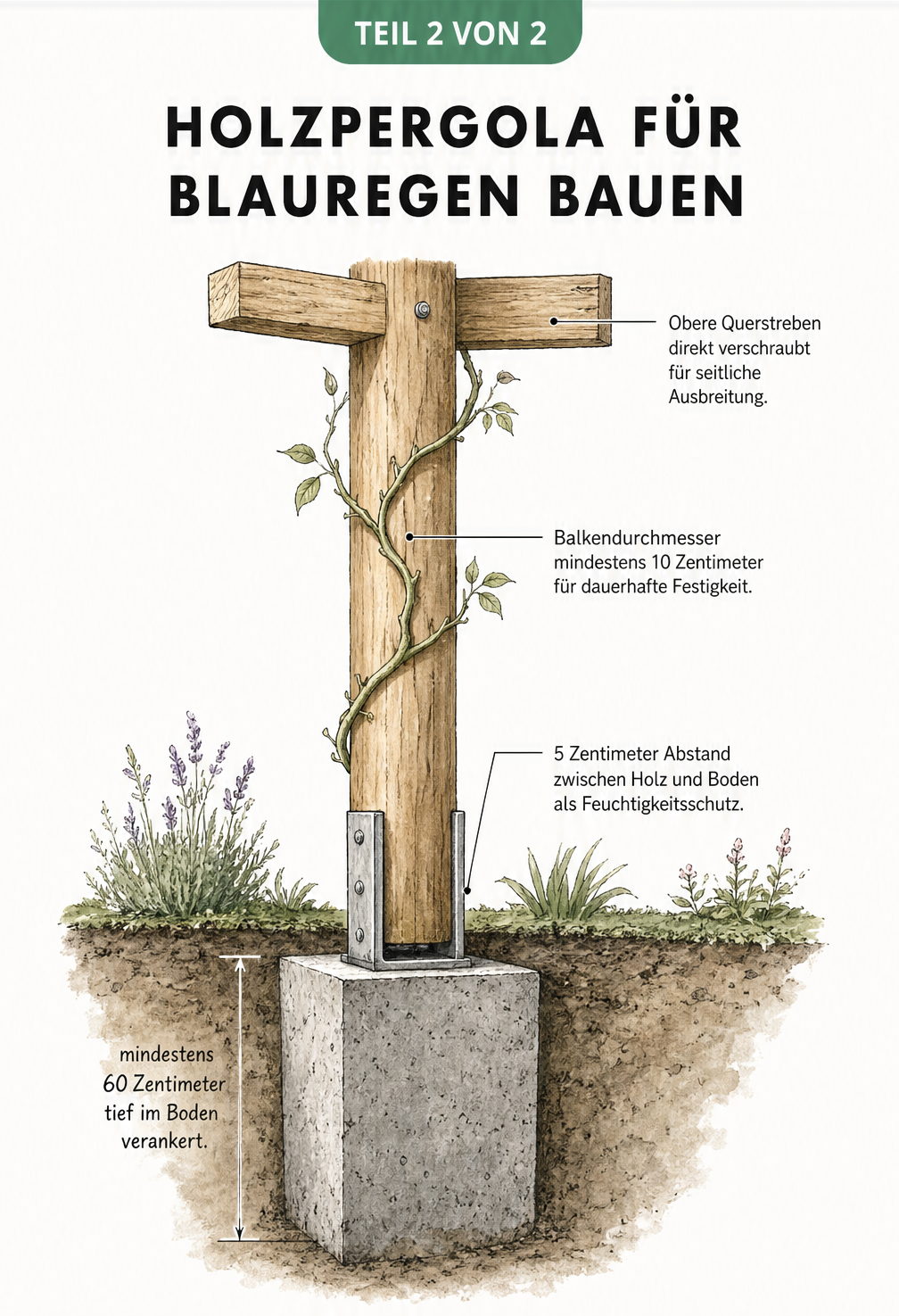 Konstruktionsskizze einer Holzpergola für Blauregen mit Fundament und Querbalken