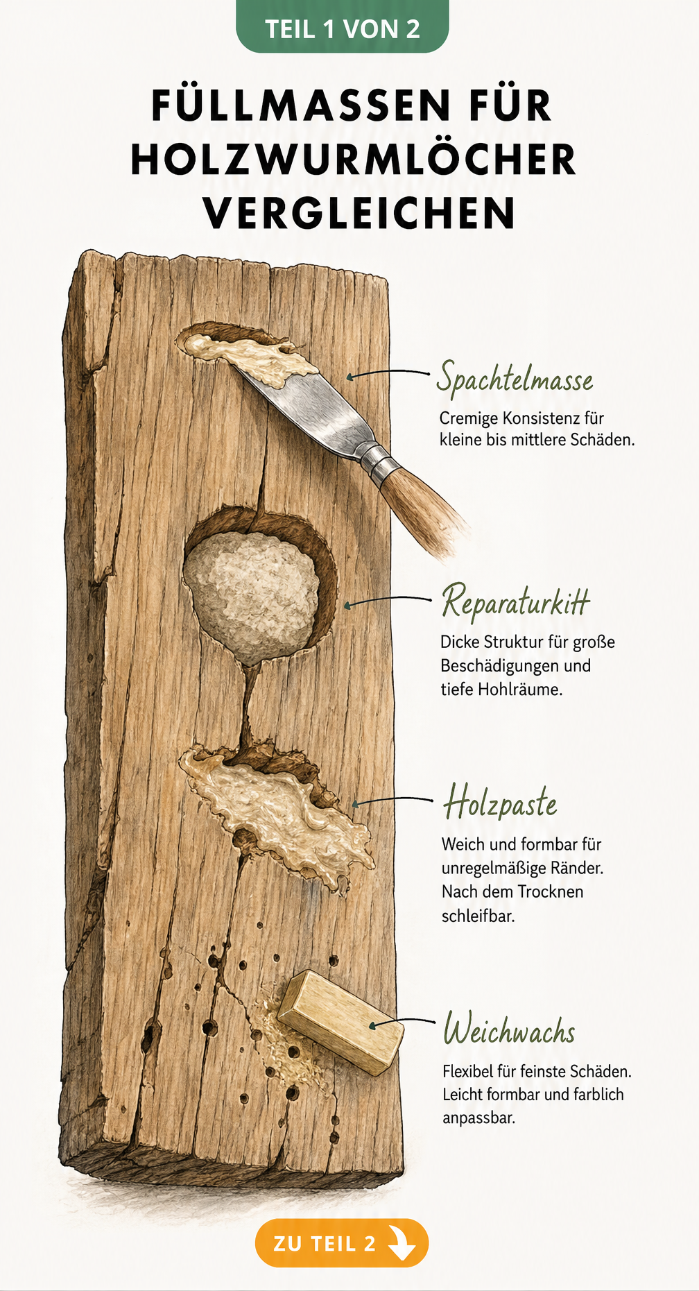 Querschnitt durch ein Holzbrett mit vier verschiedenen Füllmassen für Holzwurmlöcher: Spachtelmasse, Reparaturkitt, Holzpaste und Weichwachs.