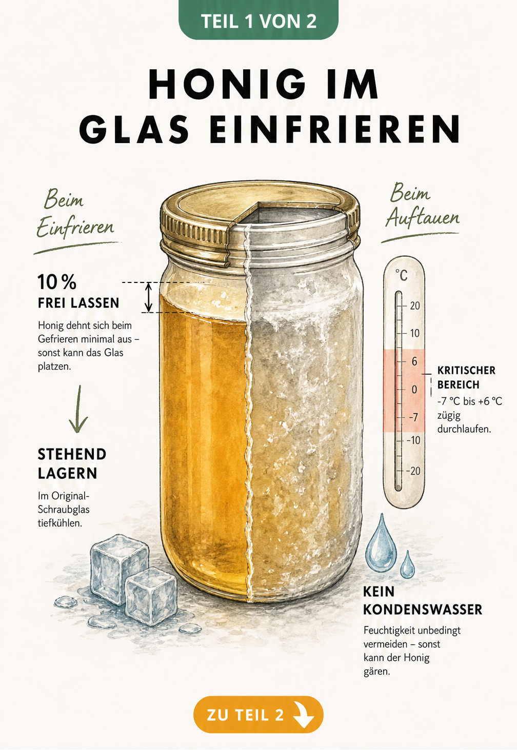 Illustration eines Honigglases mit Markierung für 10 Prozent Freiraum und einem Thermometer, das den kritischen Temperaturbereich beim Auftauen zeigt.