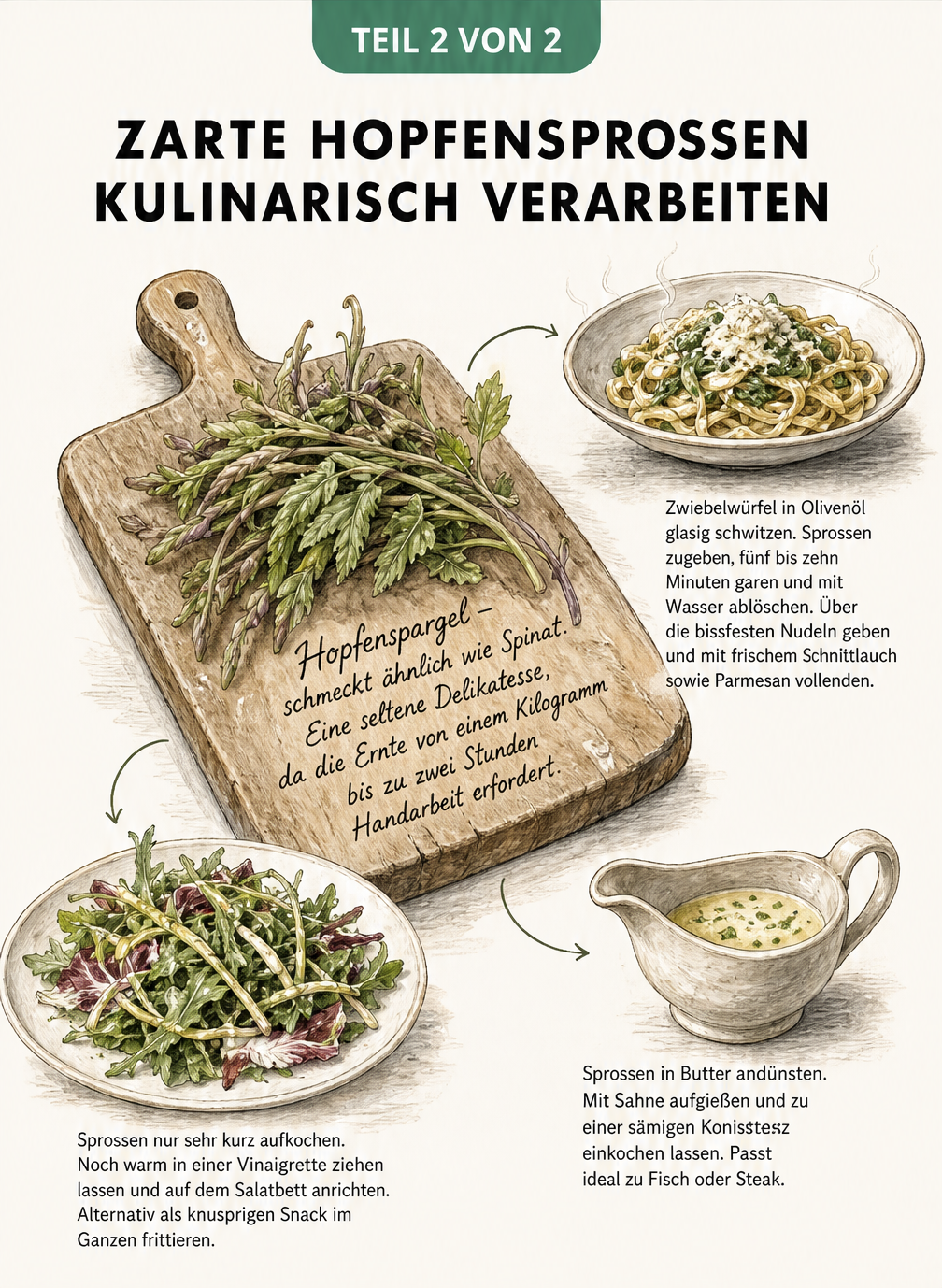 Illustration von frischen Hopfensprossen auf einem Schneidebrett mit drei zubereiteten Gerichten