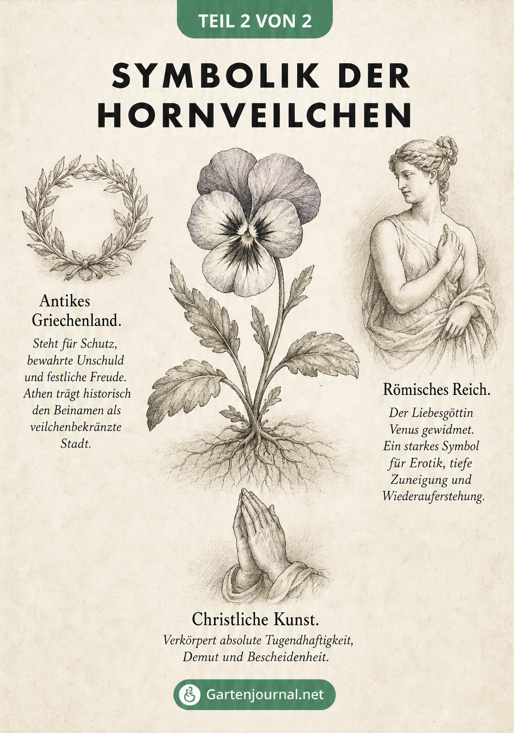 Naturhistorische Tafel mit einer Tuschezeichnung eines Hornveilchens und drei Vignetten, die die Symbolik im antiken Griechenland, im Römischen Reich und in...