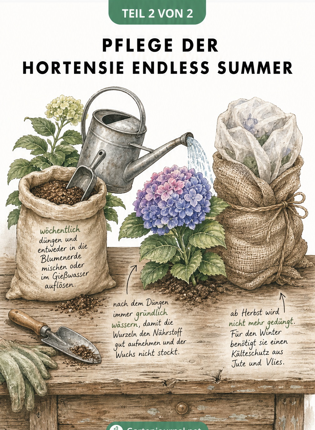 Gartenwerkbank mit Dünger, Gießkanne und winterfest verpackter Hortensie Endless Summer