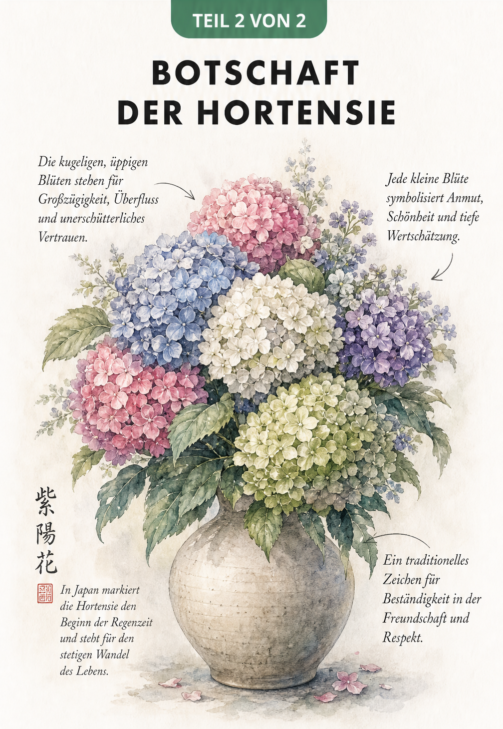 Kunstvolle Zeichnung eines Hortensien-Bouquets in einer bauchigen Vase mit Texten zur Symbolik von Grosszuegigkeit, Anmut und Bestaendigkeit.