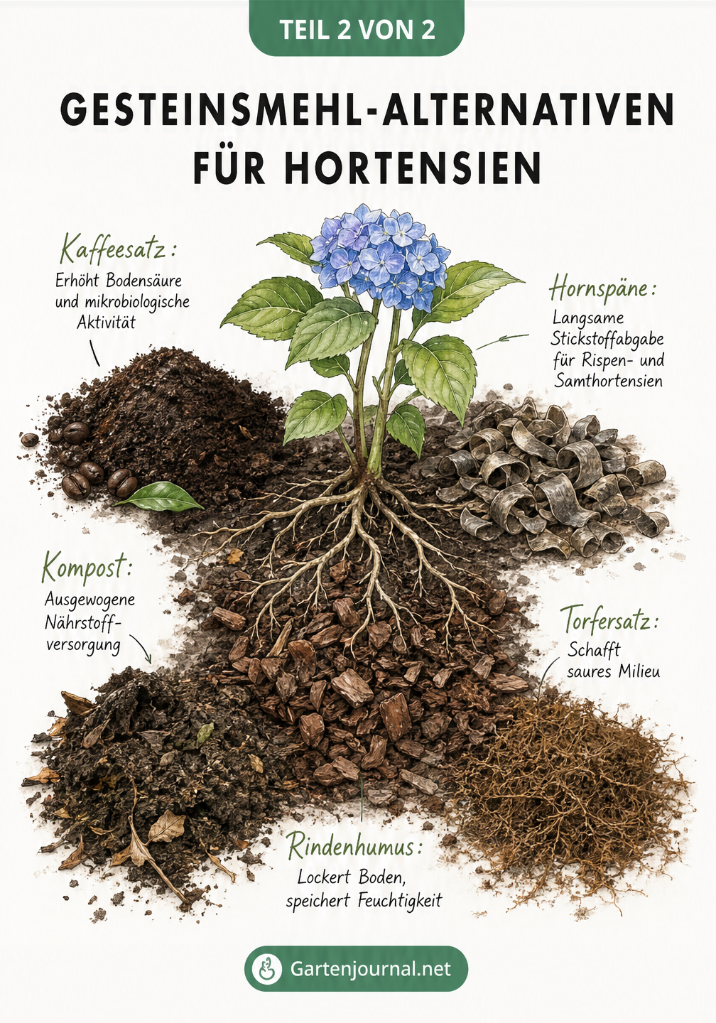 Stillleben mit organischen Bodenverbesserern für Hortensien wie Kaffeesatz, Hornspäne, Kompost, Rindenhumus und Torfersatz.