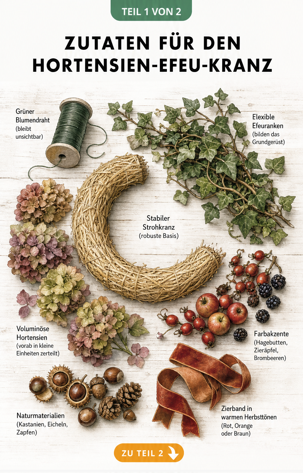 Illustration eines halben Strohkranzes mit Naturmaterialien wie Hortensien, Efeu, Beeren und Werkzeugen auf einem Holztisch