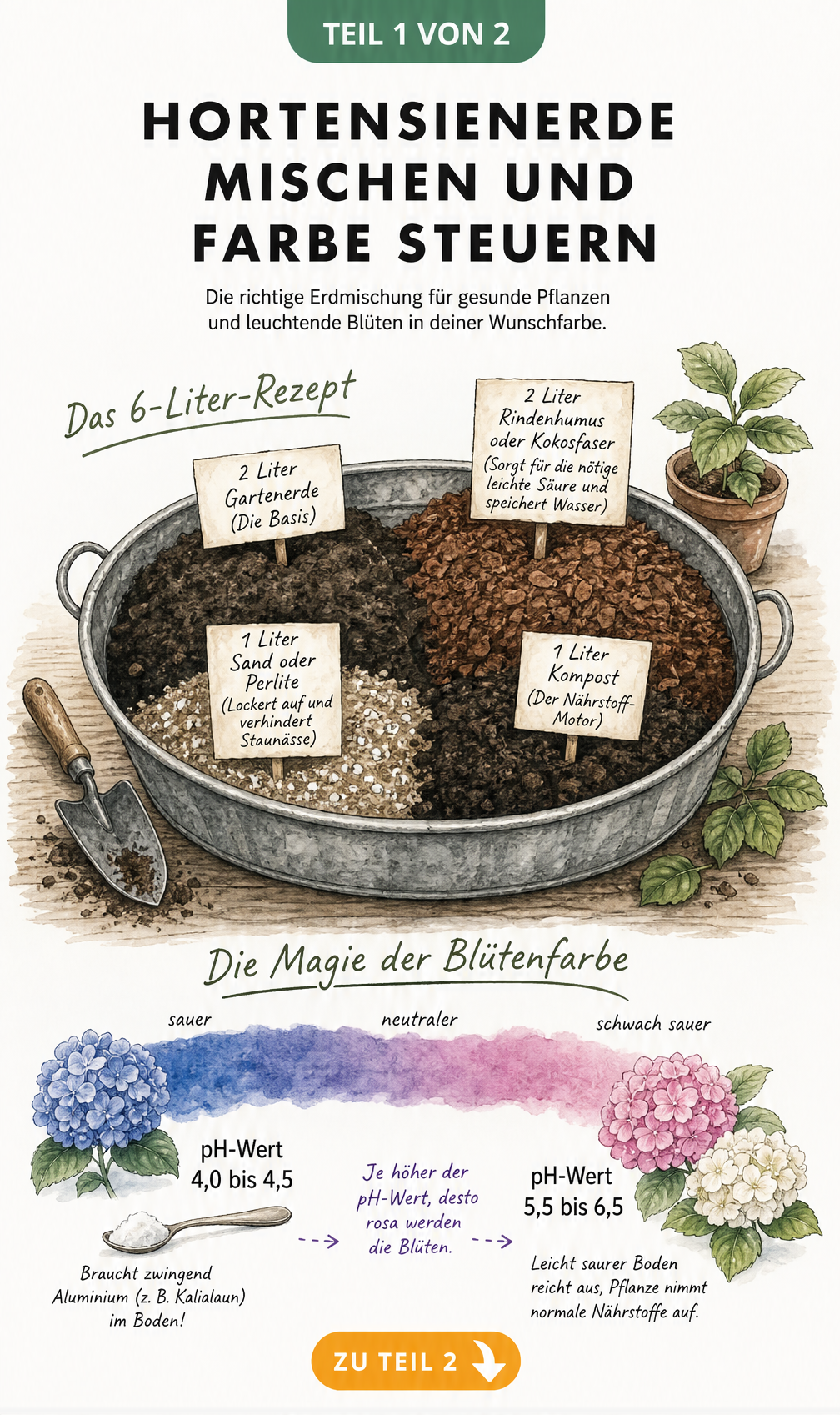 Rezept zum Mischen von Hortensienerde und pH-Wert-Skala für die Blütenfarbe