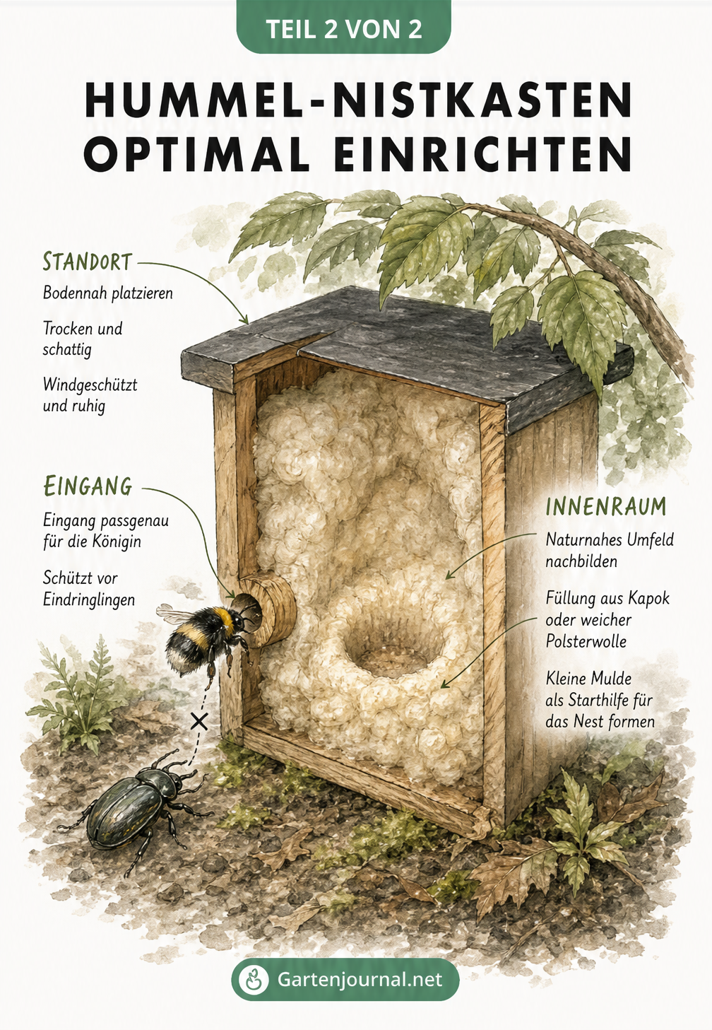 Schnittzeichnung eines Hummel-Nistkastens mit optimaler Einrichtung