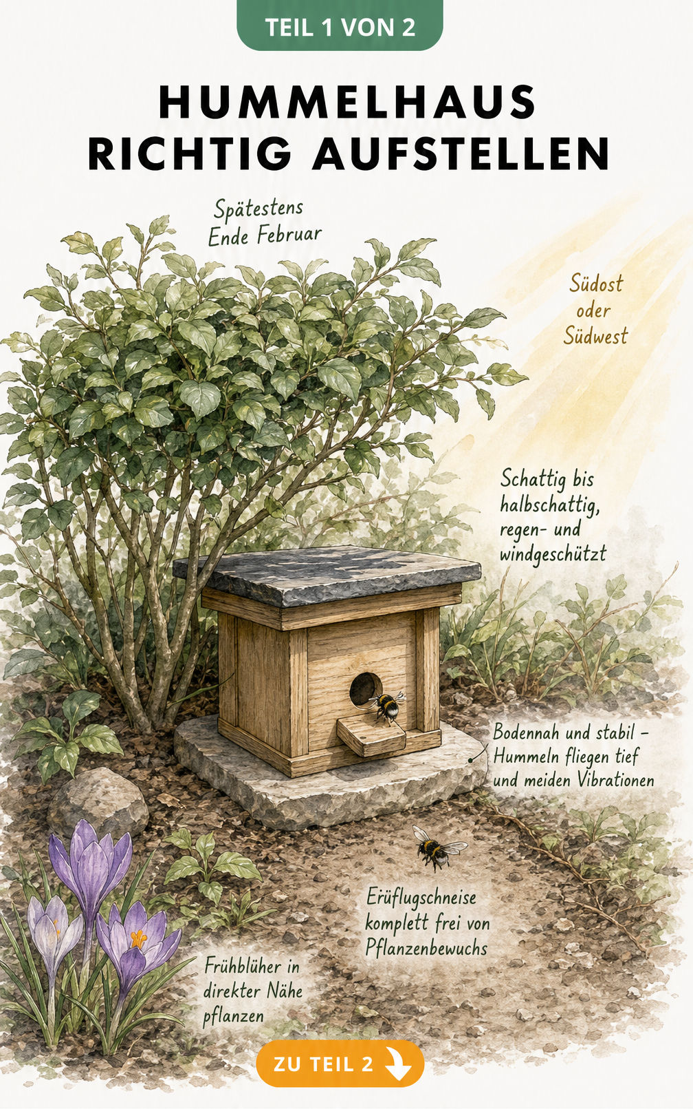Illustration eines Hummelhauses im Garten unter einem Strauch mit Hinweisen zum idealen Standort
