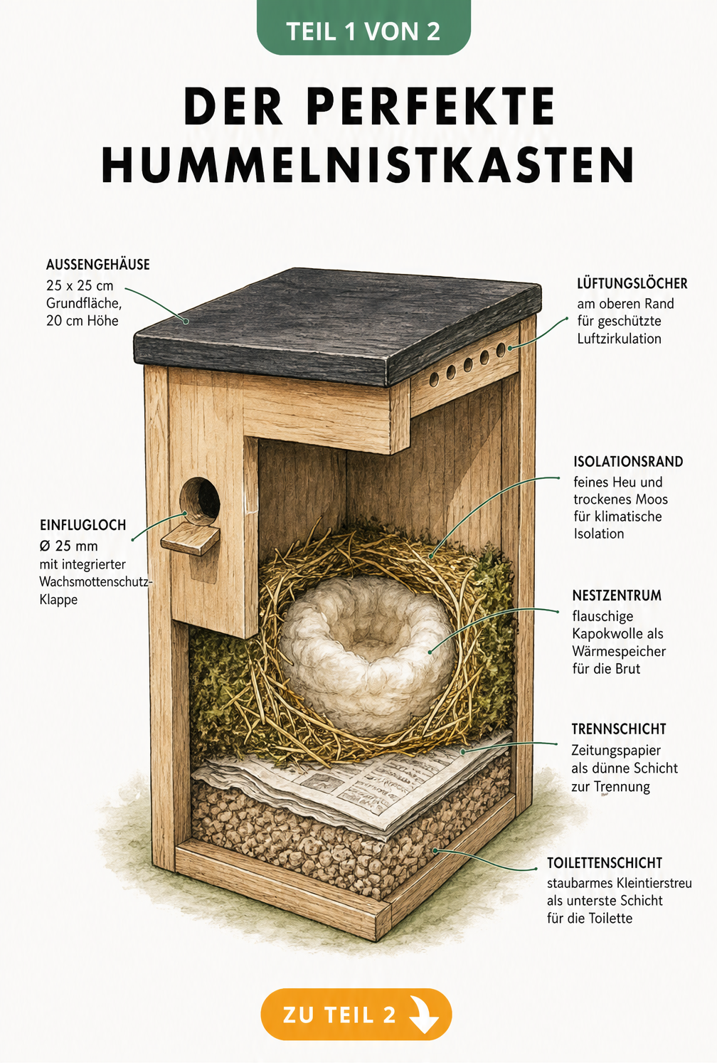Schnittzeichnung eines Hummelkastens mit Maßen, Lüftungslöchern, Wachsmottenschutz-Klappe und geschichtetem Nistmaterial aus Kleintierstreu, Zeitungspapier,...