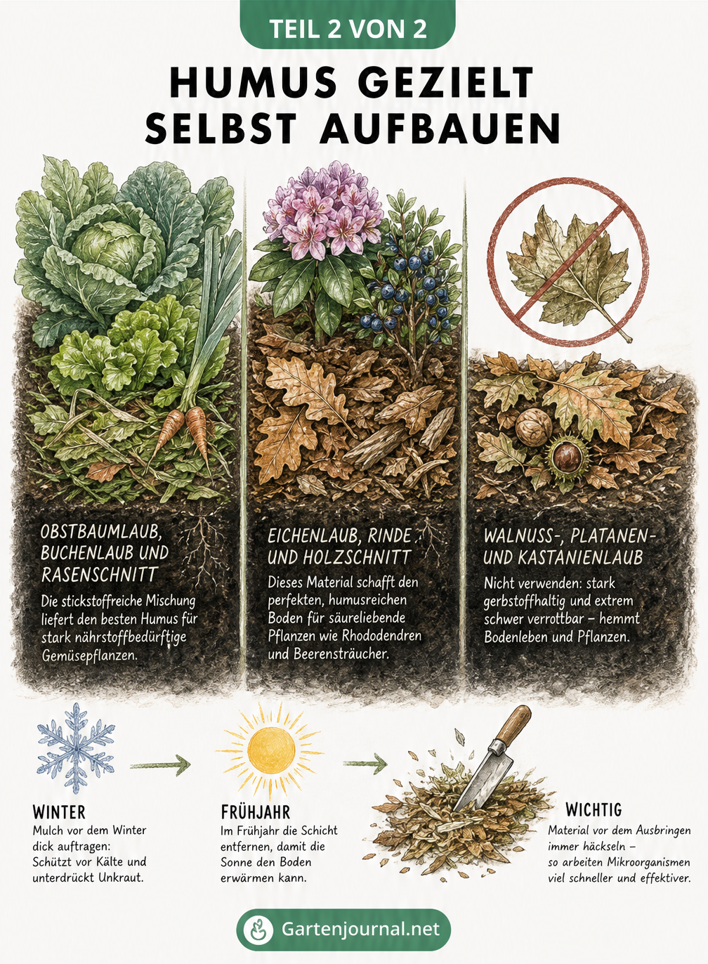Illustration von drei Gartenbeeten mit unterschiedlichen Pflanzen und dem passenden Mulchmaterial