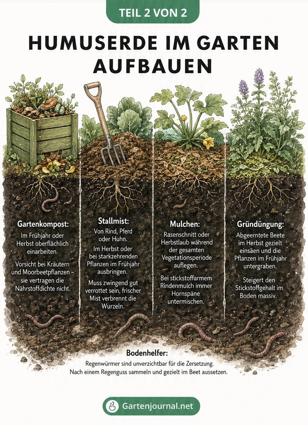 Querschnitt durch ein Gartenbeet, der vier Methoden zur Humusbildung zeigt: Gartenkompost, Stallmist, Mulchen und Gründüngung.