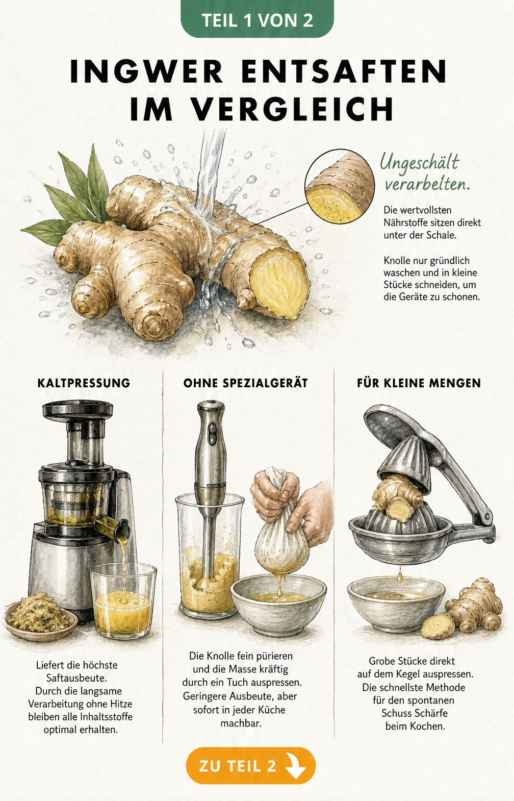 Illustration verschiedener Methoden zum Entsaften von Ingwer: Slow Juicer, Pürierstab mit Passiertuch und Hand-Zitruspresse.