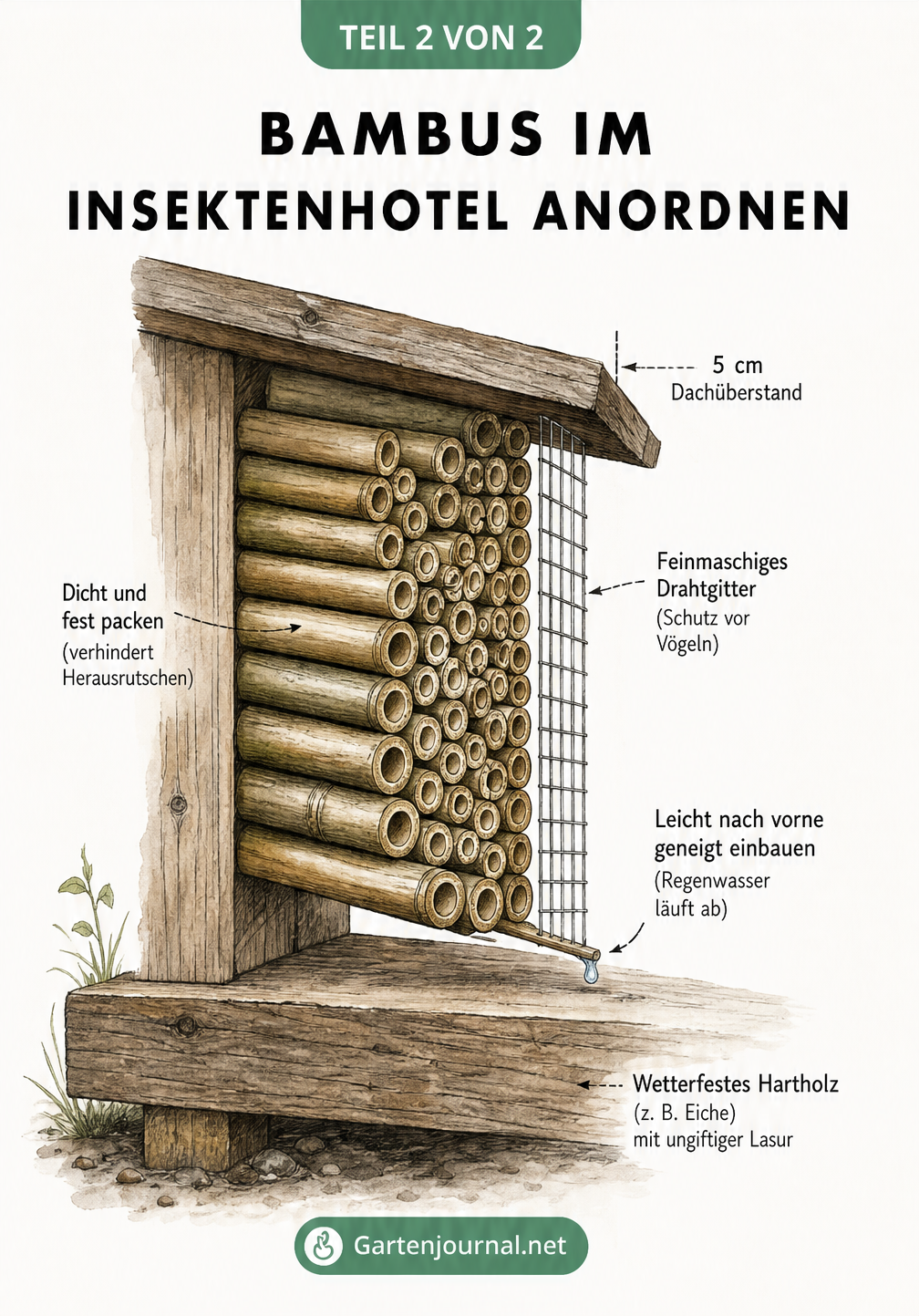Schnittzeichnung eines Insektenhotels, die zeigt, wie Bambusstäbe dicht gepackt und leicht nach vorne geneigt eingebaut werden.
