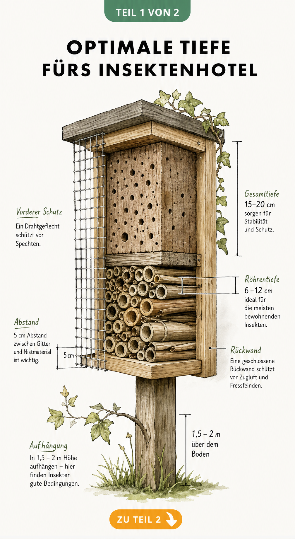 Skizze eines Insektenhotels im Anschnitt mit Maßangaben zur optimalen Tiefe von 15 bis 20 Zentimetern und Niströhren von 6 bis 12 Zentimetern.