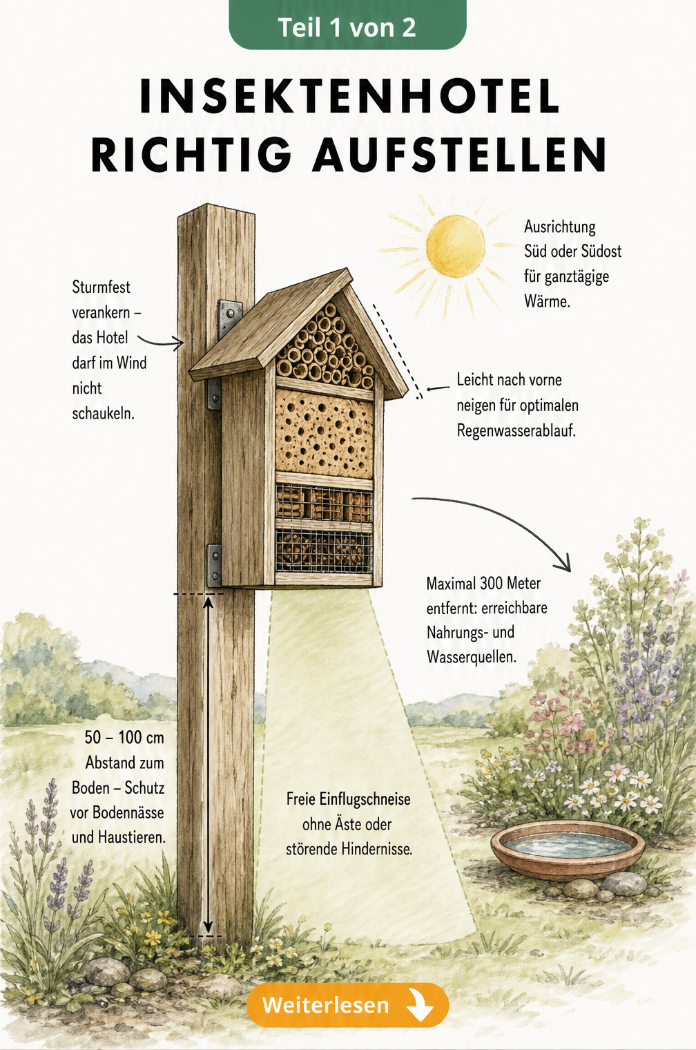 Illustration eines Insektenhotels im Garten mit Maßangaben für den optimalen Abstand zum Boden und zur Nahrungsquelle