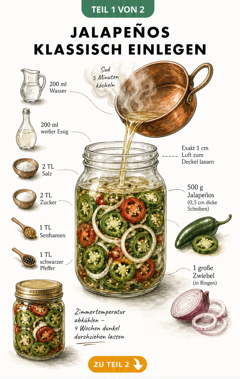 Illustration eines Einmachglases mit Jalapeñoscheiben, Zwiebelringen und einem Topf mit Sud zum klassischen Einlegen