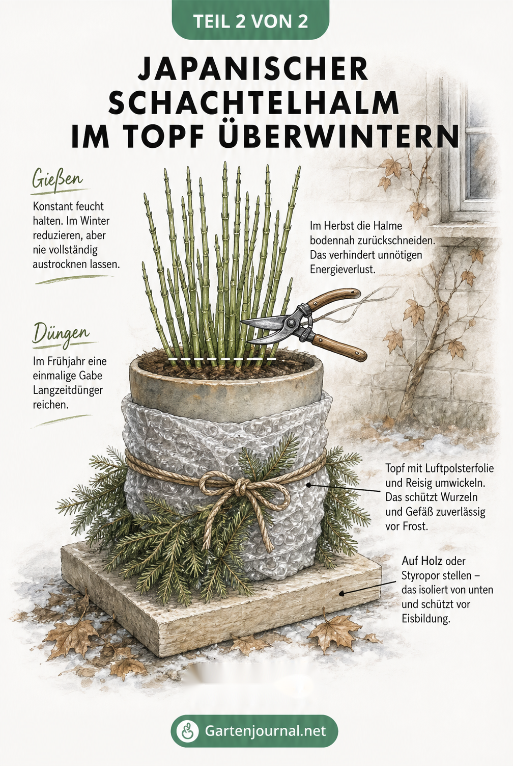 Illustration eines Pflanzkübels mit Japanischem Schachtelhalm im Winter, geschützt durch Luftpolsterfolie, Reisig und eine isolierende Bodenplatte.