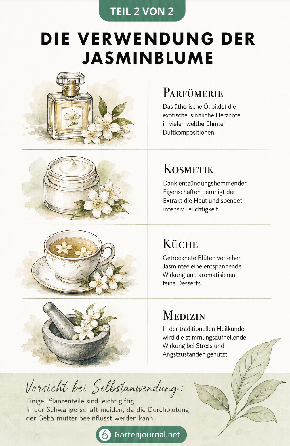 Übersicht zur Verwendung von Jasmin in Parfümerie, Kosmetik, Küche und Medizin mit Warnhinweis zur Selbstanwendung.