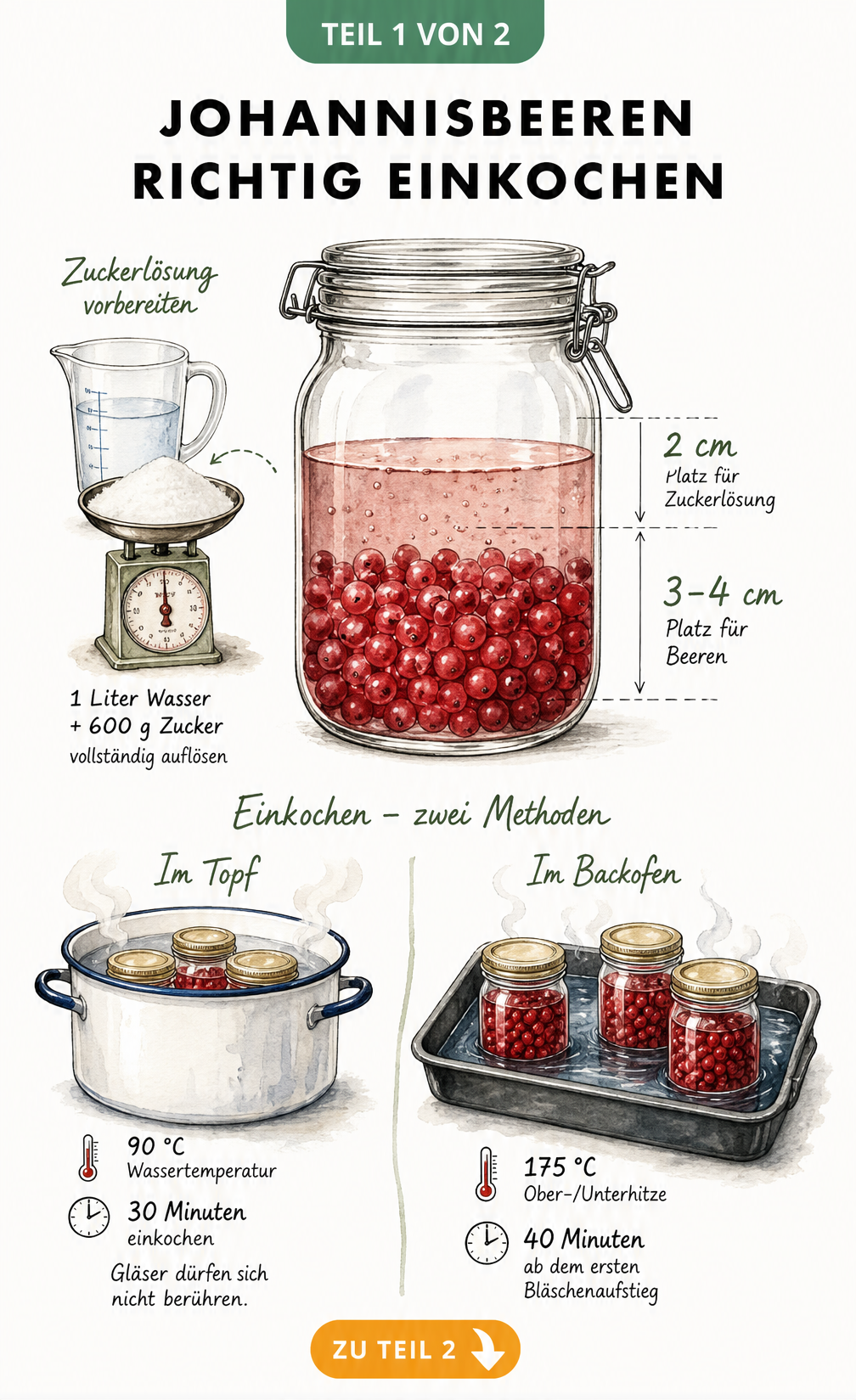Illustration eines Einmachglases mit Johannisbeeren und Zuckerlösung sowie Einkochmethoden im Topf und Backofen