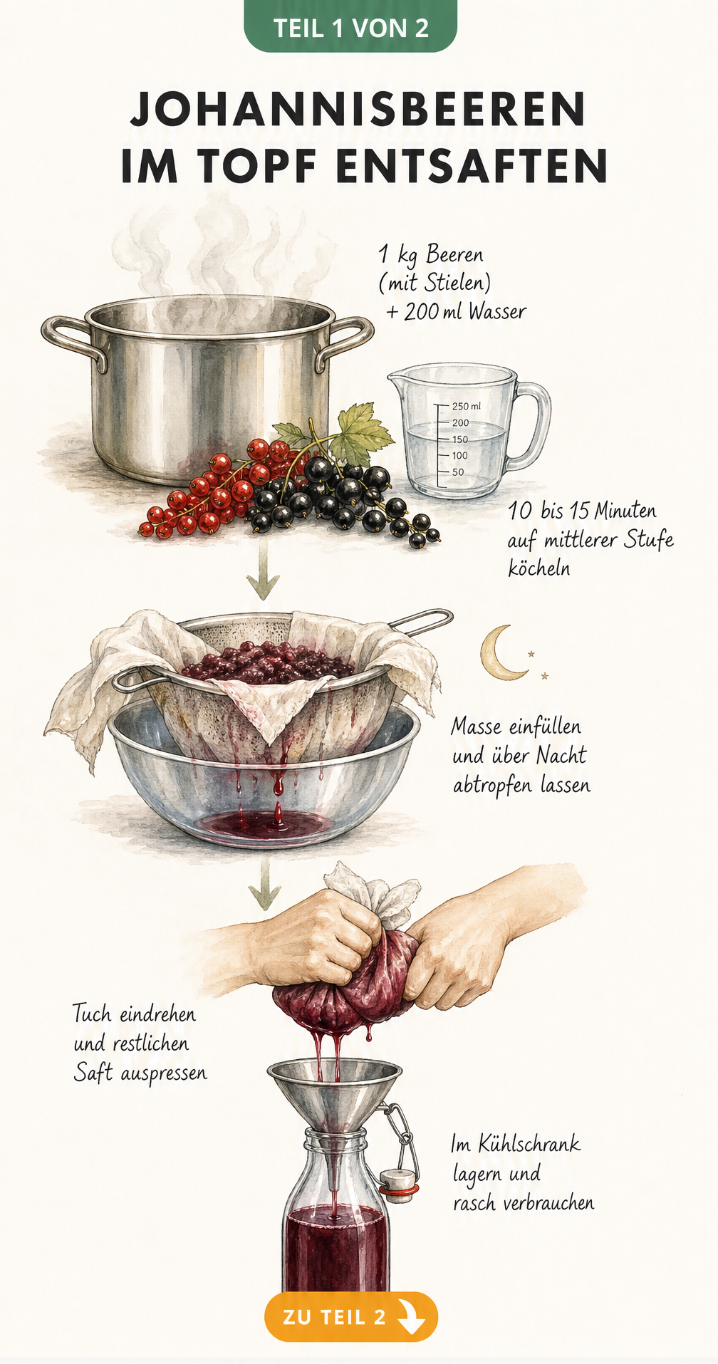 Illustration des Entsaftens von Johannisbeeren im Topf mit Sieb und Tuch