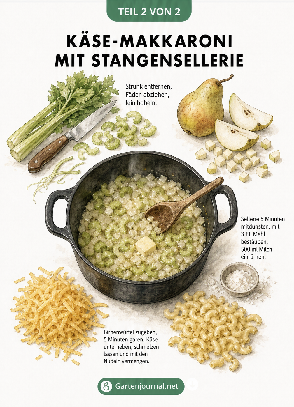Illustration: Stangensellerie und Birne schneiden, in einem Topf andünsten und mit Makkaroni und Cheddar-Käse vermengen.