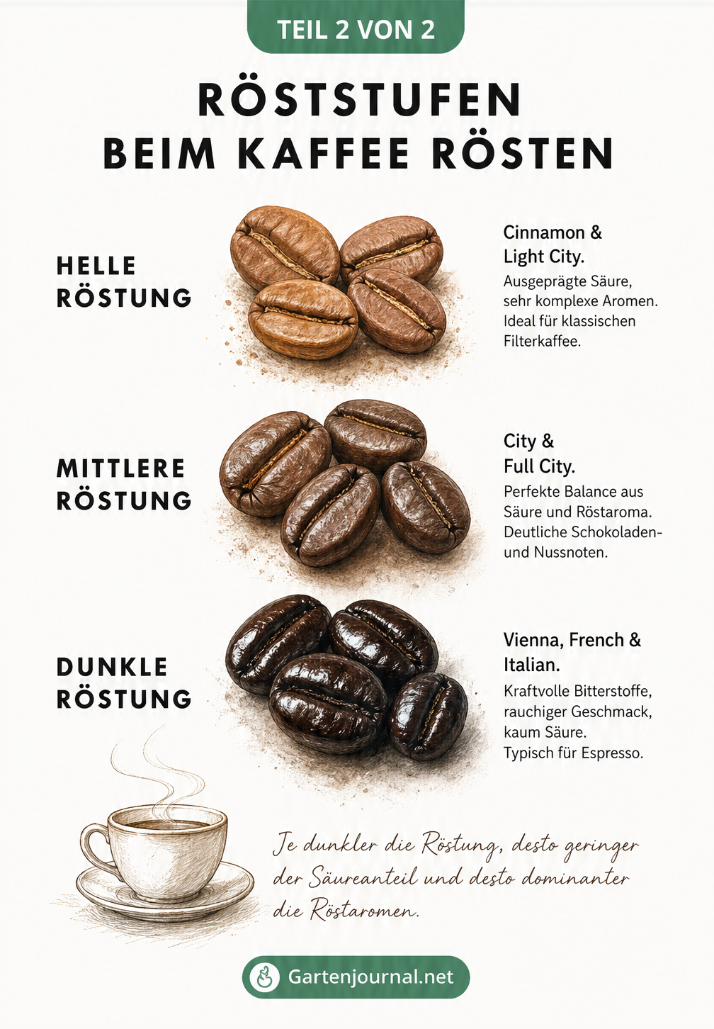 Übersicht der Röststufen von Kaffee: Helle, mittlere und dunkle Röstung mit ihren Eigenschaften