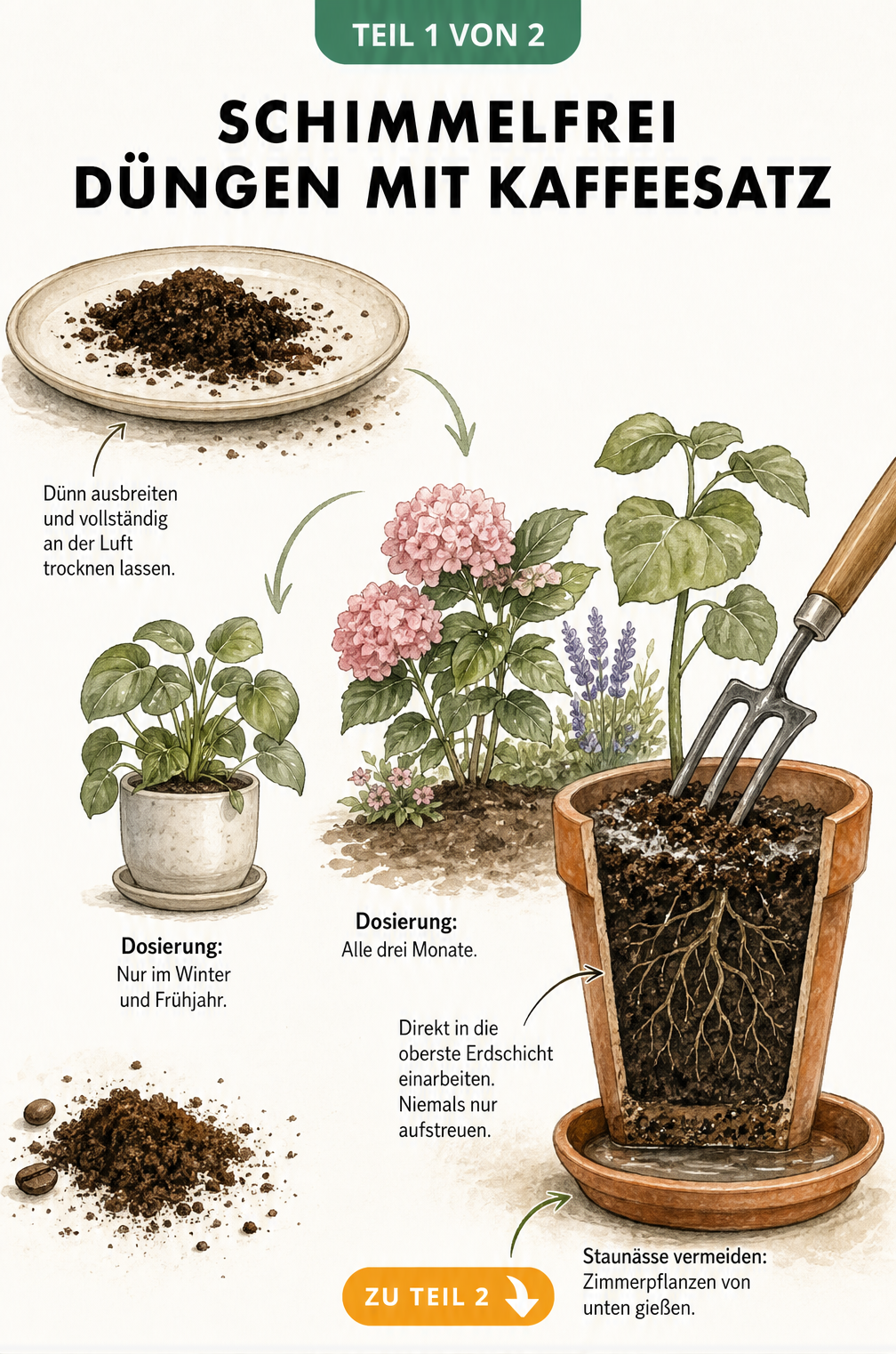 Illustration: Kaffeesatz trocknen und als Dünger in die Blumenerde einarbeiten
