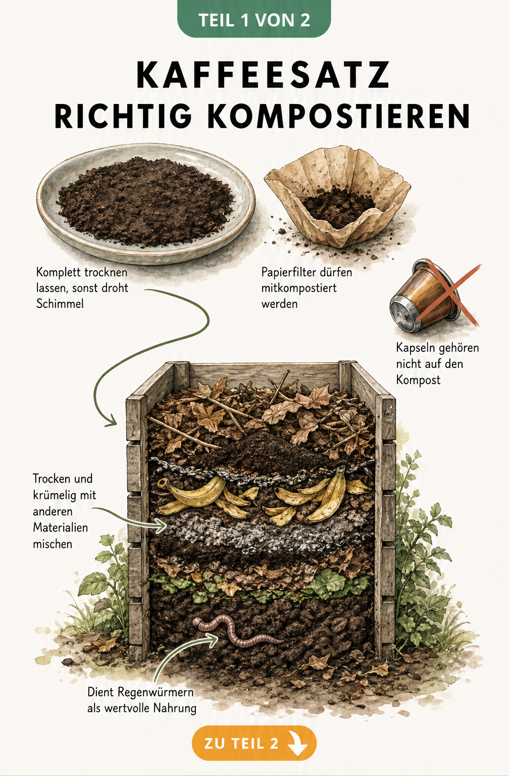 Illustration: Kaffeesatz richtig kompostieren mit getrocknetem Kaffeepulver, Papierfilter und Regenwurm im Komposter