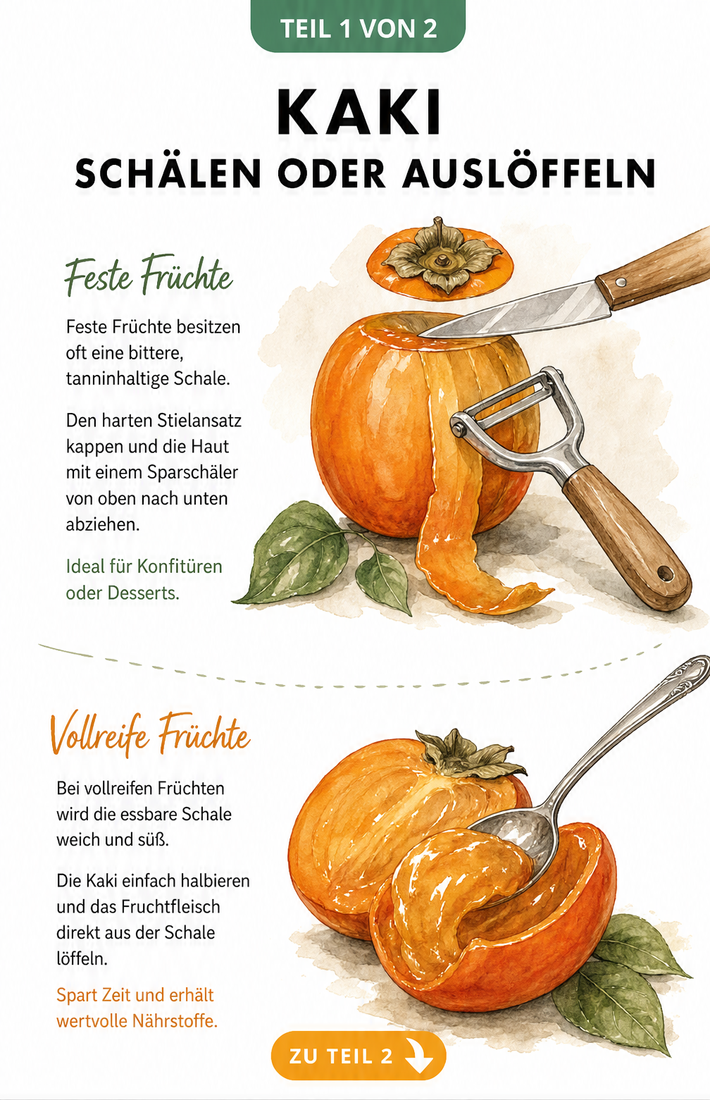 Illustration einer festen Kaki, die mit einem Sparschäler geschält wird, und einer vollreifen Kaki, die ausgelöffelt wird