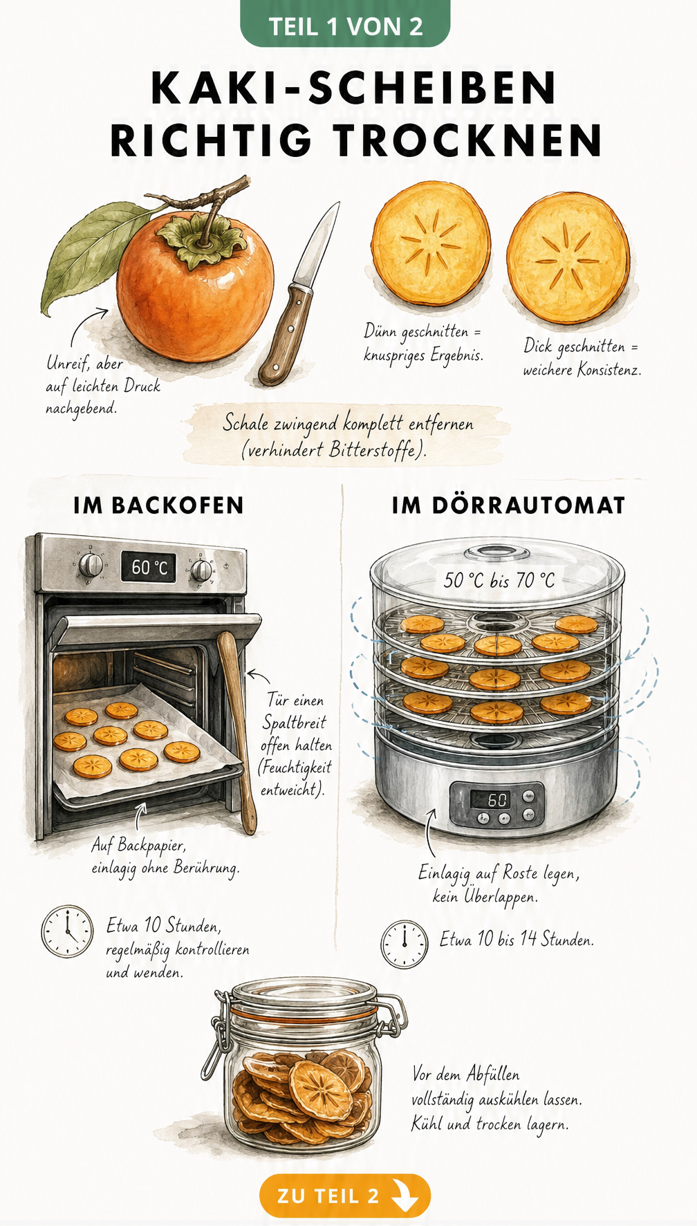 Illustration zur Vorbereitung von Kakis und den Trocknungsmethoden im Backofen und Dörrautomat