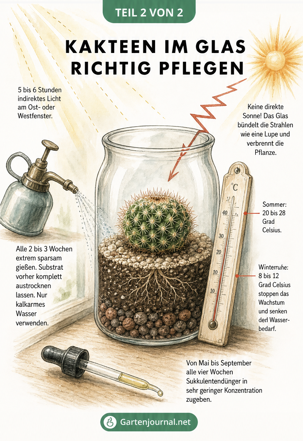 Gezeichnete Notiztafel mit einem Mammillaria-Kaktus im Glas, die Tipps zu Lichtbedarf, Gießverhalten und Temperatur im Sommer und Winter zeigt.