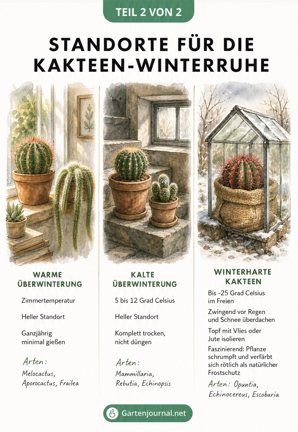 Drei illustrierte Standorte für die Kakteen-Winterruhe: warme Überwinterung, kalte Überwinterung und winterharte Kakteen