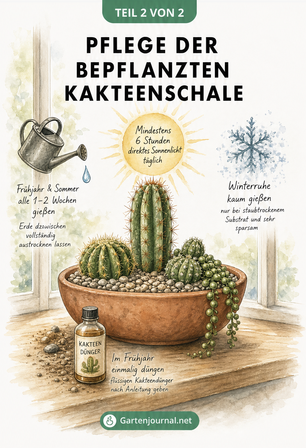 Illustration zur Pflege einer Kakteenschale mit Sonne, Gießkanne und Dünger