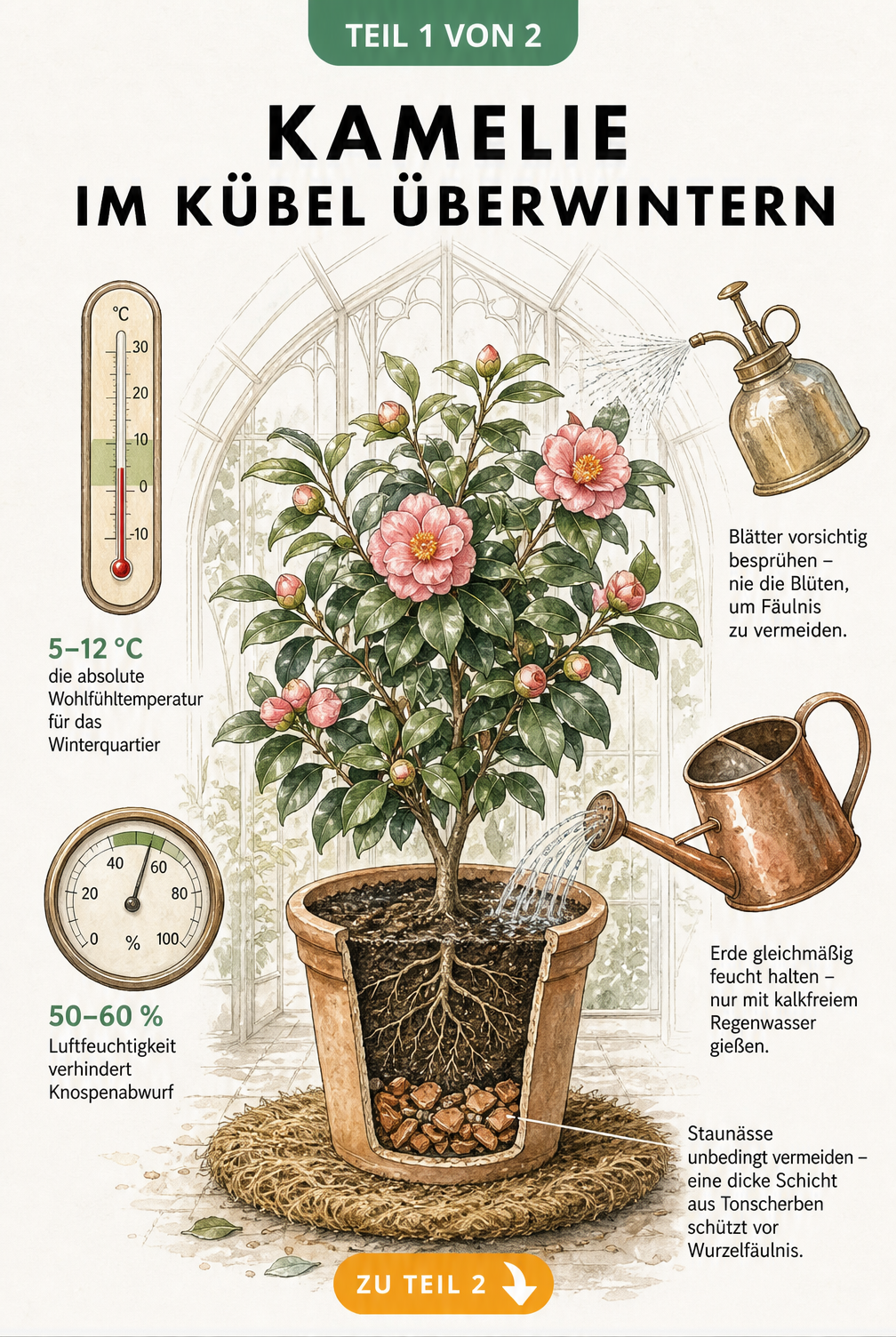 Botanische Illustration einer Kamelie im Terrakotta-Topf mit Thermometer, Hygrometer und Gießkanne zur Überwinterung
