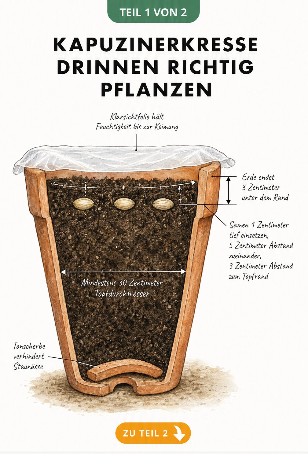 Querschnitt eines Terrakotta-Topfes mit Kapuzinerkresse-Samen, Pflanzerde, Tonscherbe und Klarsichtfolie zur Aussaat in der Wohnung
