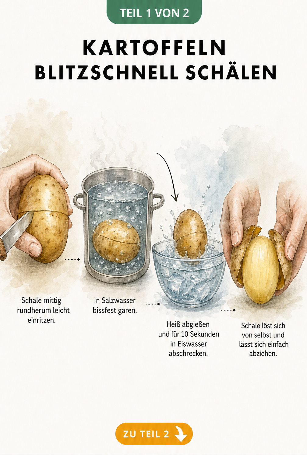 Illustration: Kartoffel mittig einritzen, in Salzwasser garen, in Eiswasser abschrecken und Schale einfach abziehen