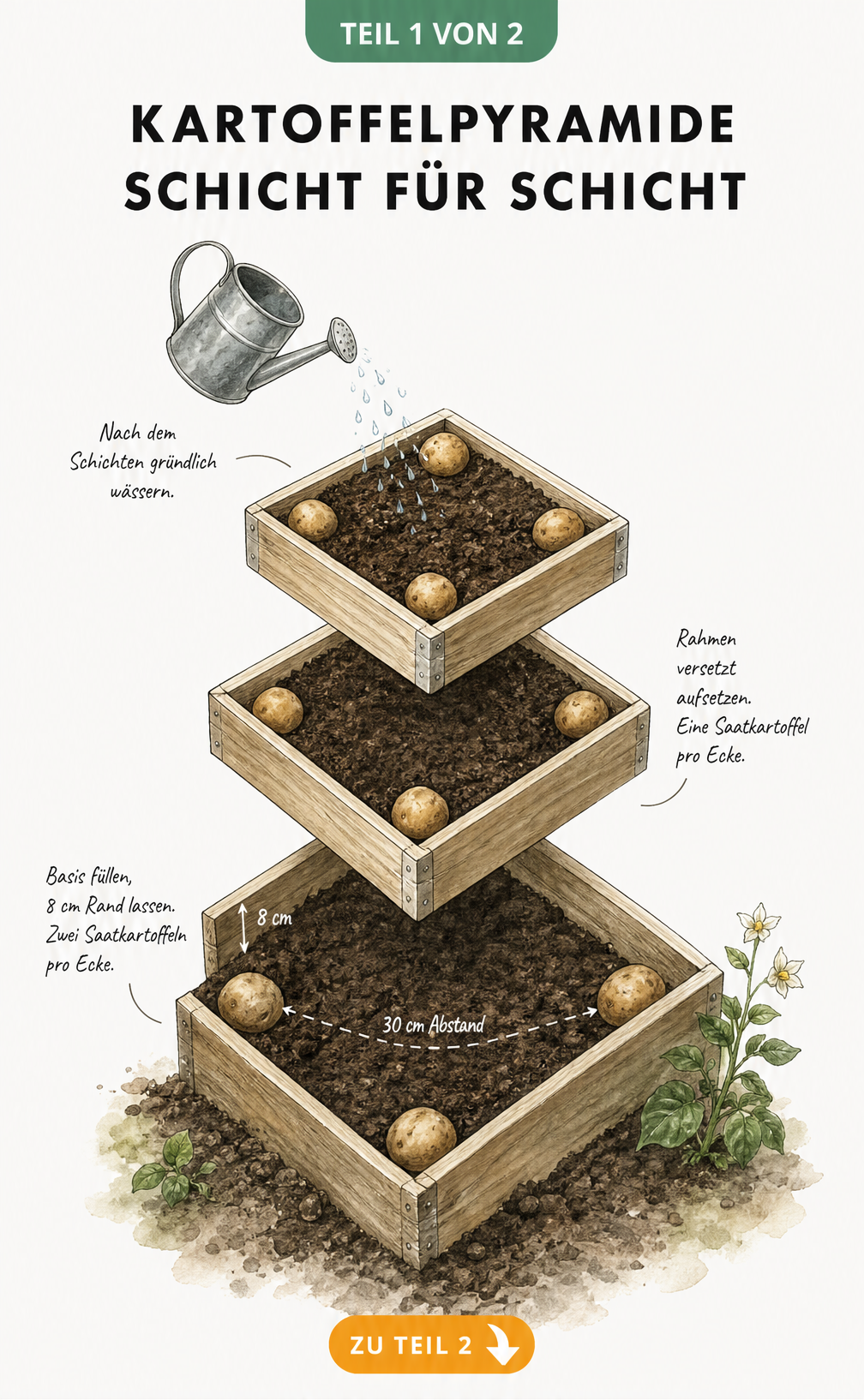 Illustration einer dreistöckigen Kartoffelpyramide aus Holz, die Schicht für Schicht mit Erde und Saatkartoffeln befüllt wird.