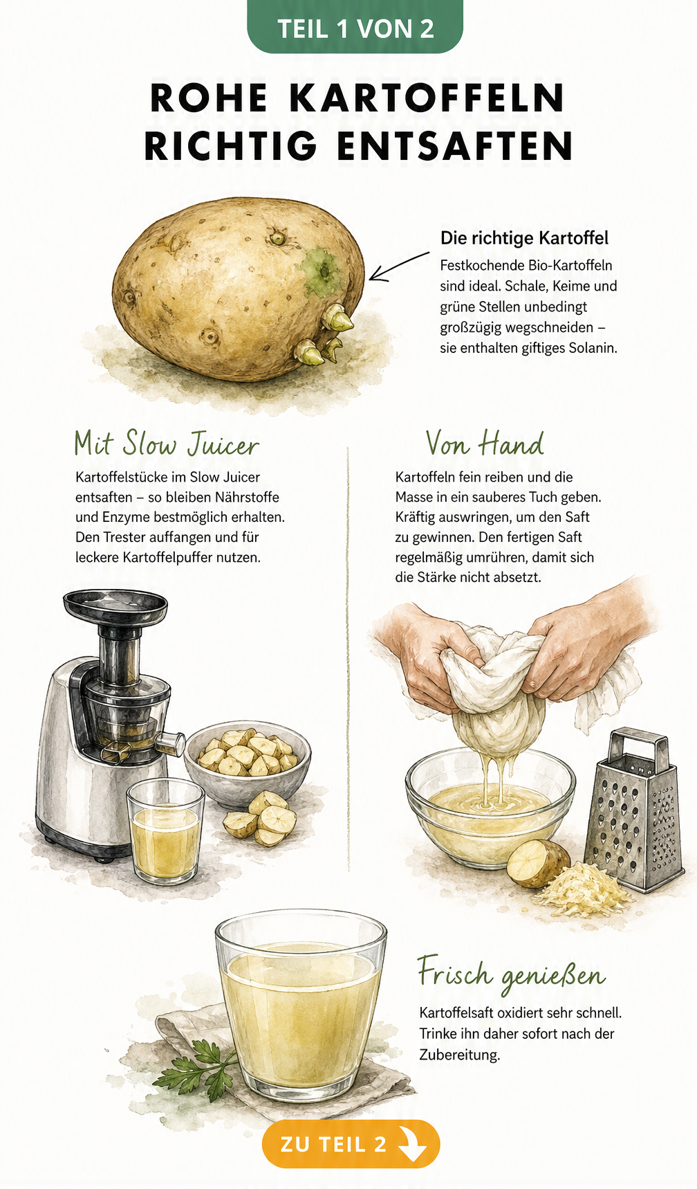 Illustration zur Herstellung von Kartoffelsaft mit Slow Juicer und manueller Methode