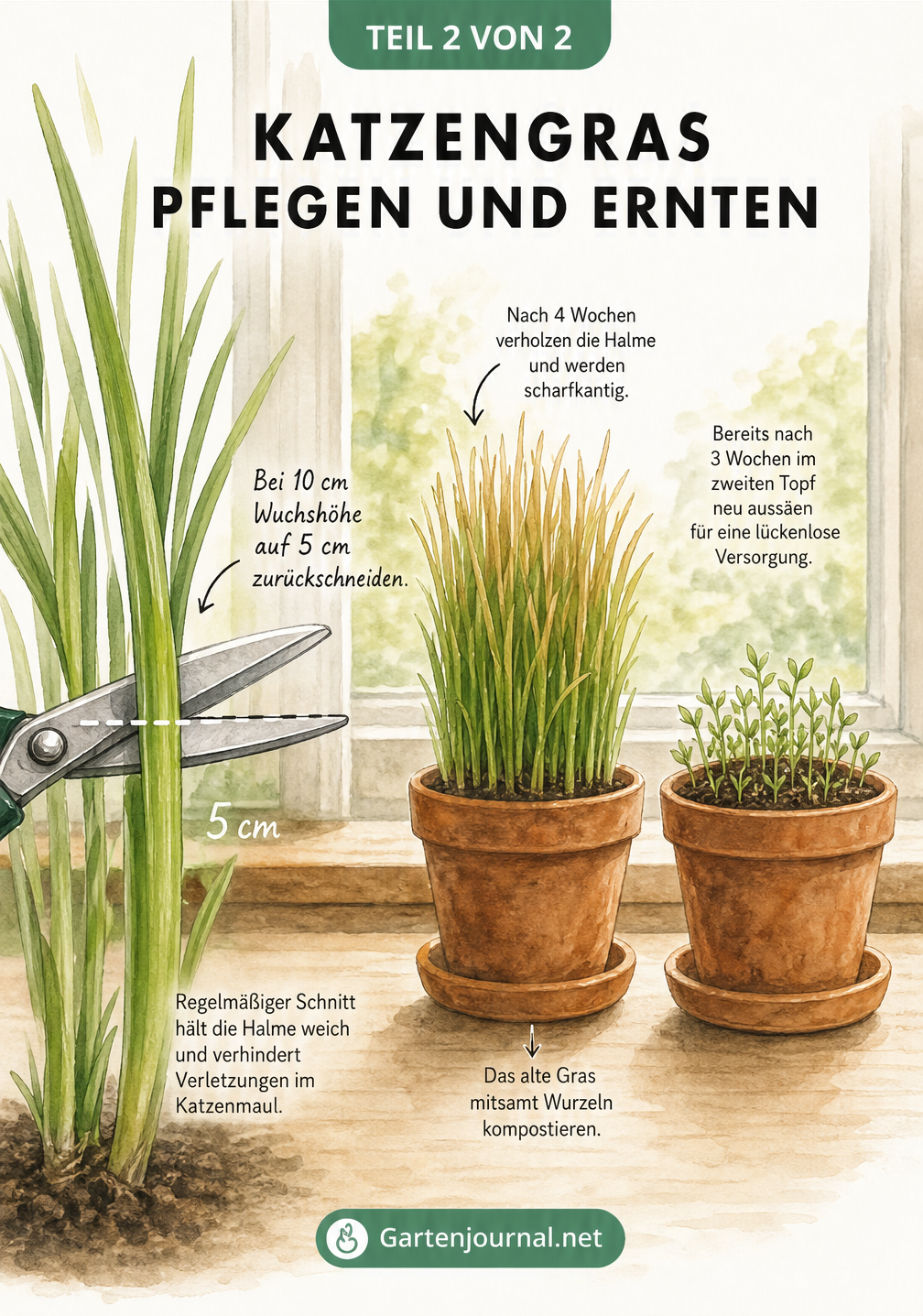 Illustration einer Fensterbank mit Schere beim Rückschnitt eines Grashalms und zwei Töpfen im Rotationsprinzip