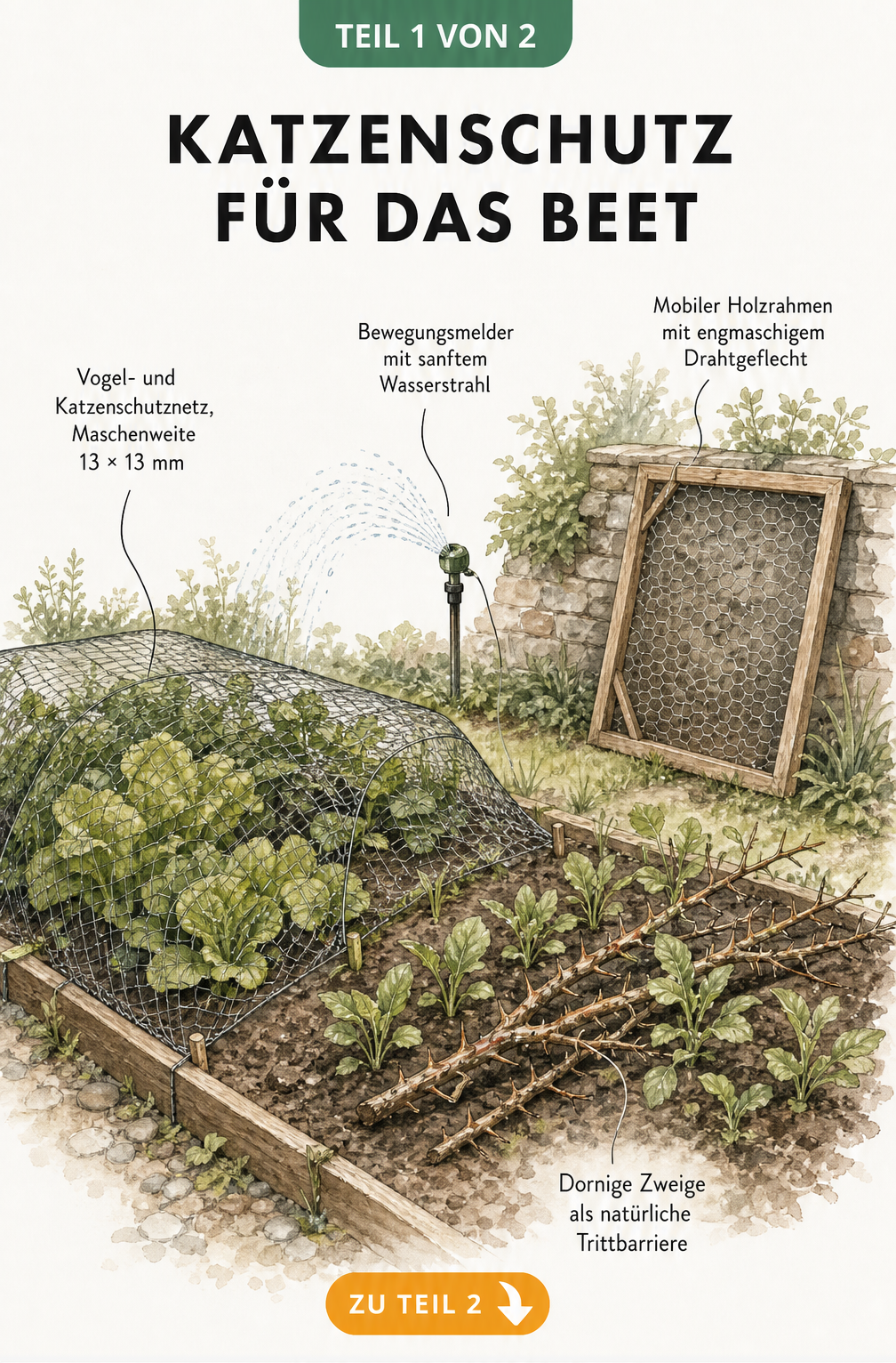 Illustration eines Gemüsebeets mit Schutznetz, dornigen Zweigen und einem automatischen Rasensprenger zur Katzenabwehr