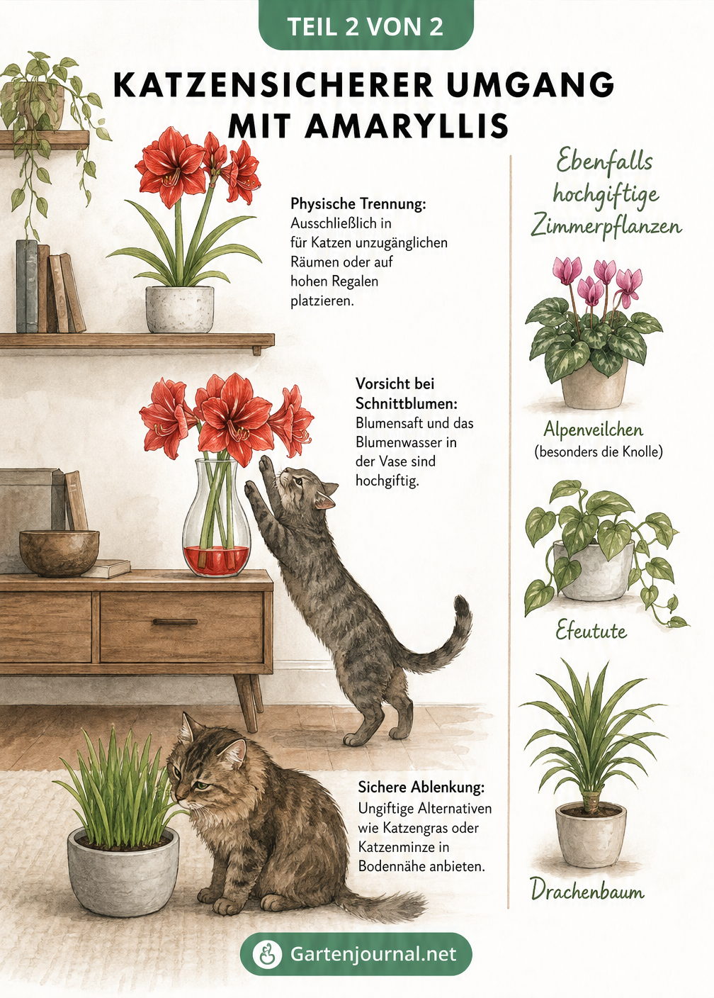 Illustration eines Wohnzimmers, die sichere und unsichere Zonen für Katzen zeigt, inklusive Amaryllis auf einem hohen Regal und Katzengras am Boden.