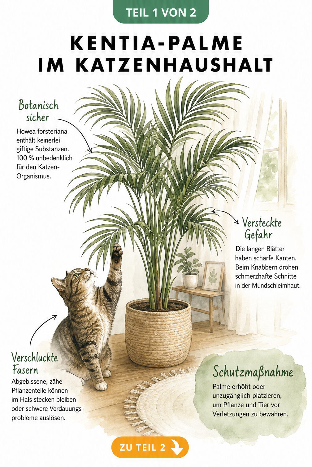 Illustration einer Kentia-Palme im Wohnzimmer mit einer Katze, die nach einem Wedel greift, und Hinweisen zu Gefahren durch scharfe Blattkanten.