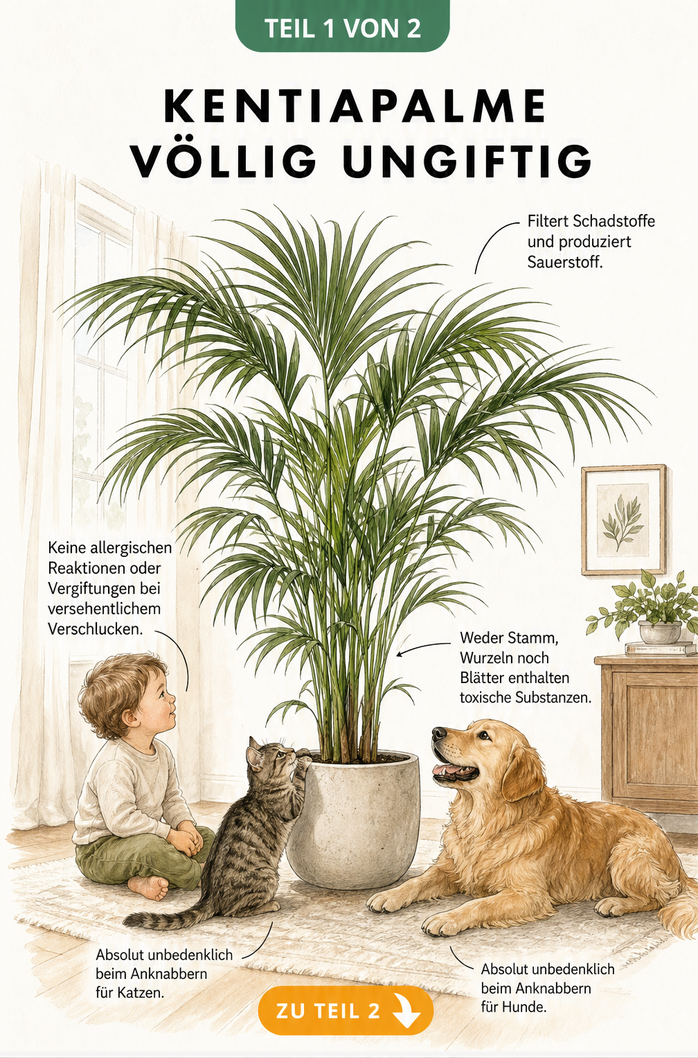 Illustration einer Kentiapalme im Wohnzimmer mit Kleinkind, Katze und Hund, die die Ungiftigkeit der Pflanze zeigt