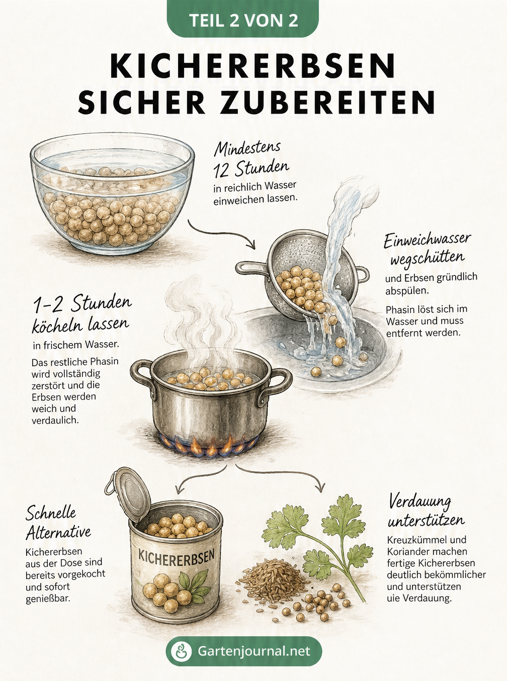 Handgezeichnete Anleitung zur sicheren Zubereitung von Kichererbsen durch Einweichen, Kochen und Würzen