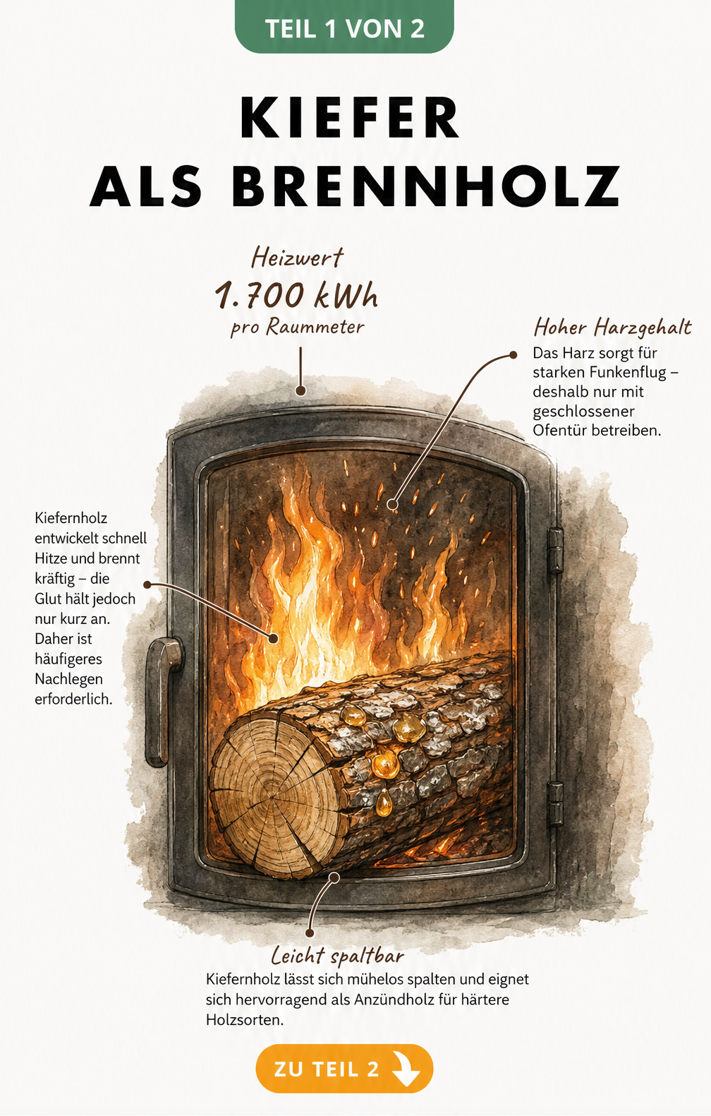 Illustration eines brennenden Kiefernholzscheits mit Angaben zu Heizwert, Funkenflug und Spaltbarkeit