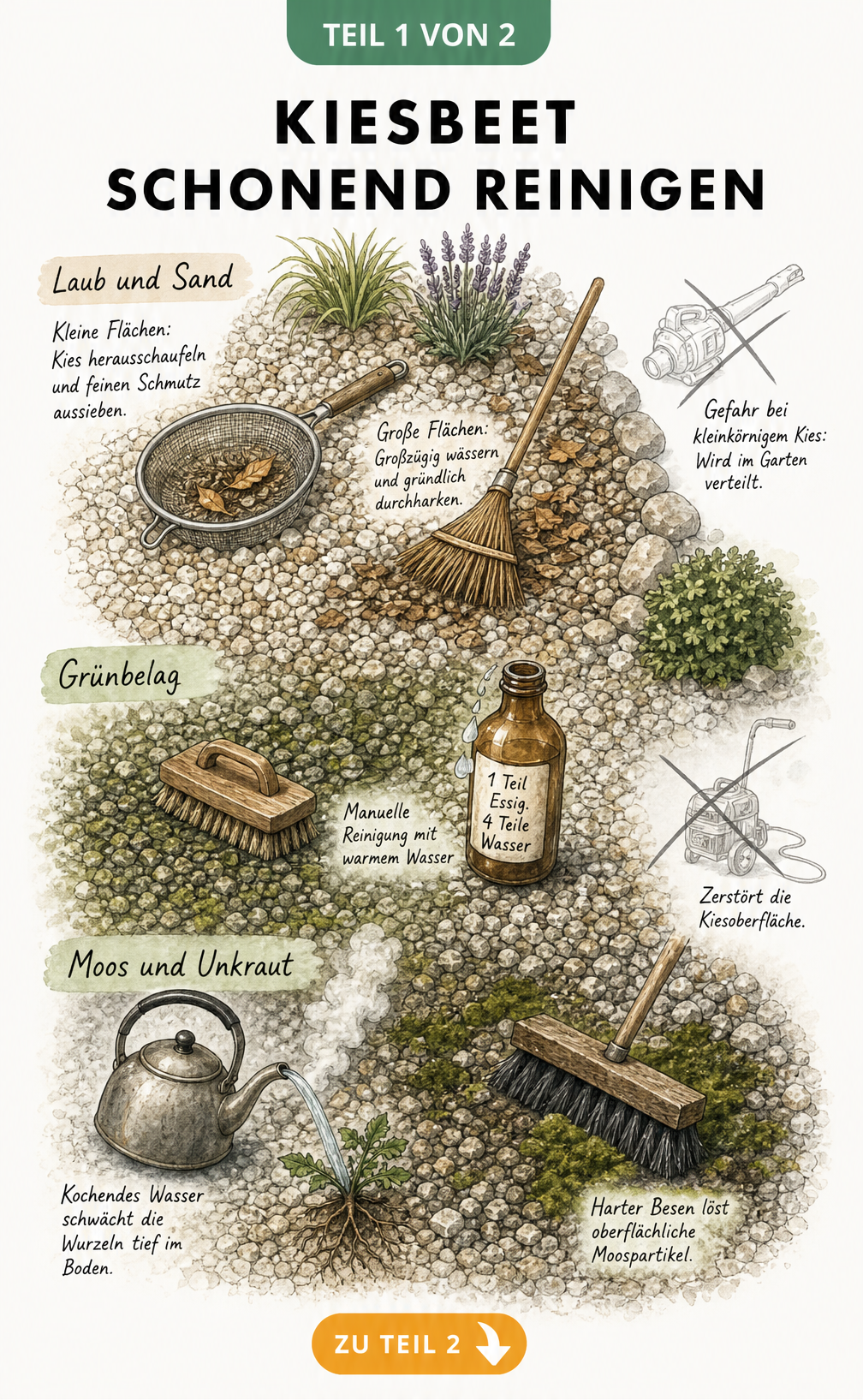 Illustration eines Kiesbeets mit Werkzeugen zur schonenden Reinigung von Laub, Sand, Grünbelag und Moos.