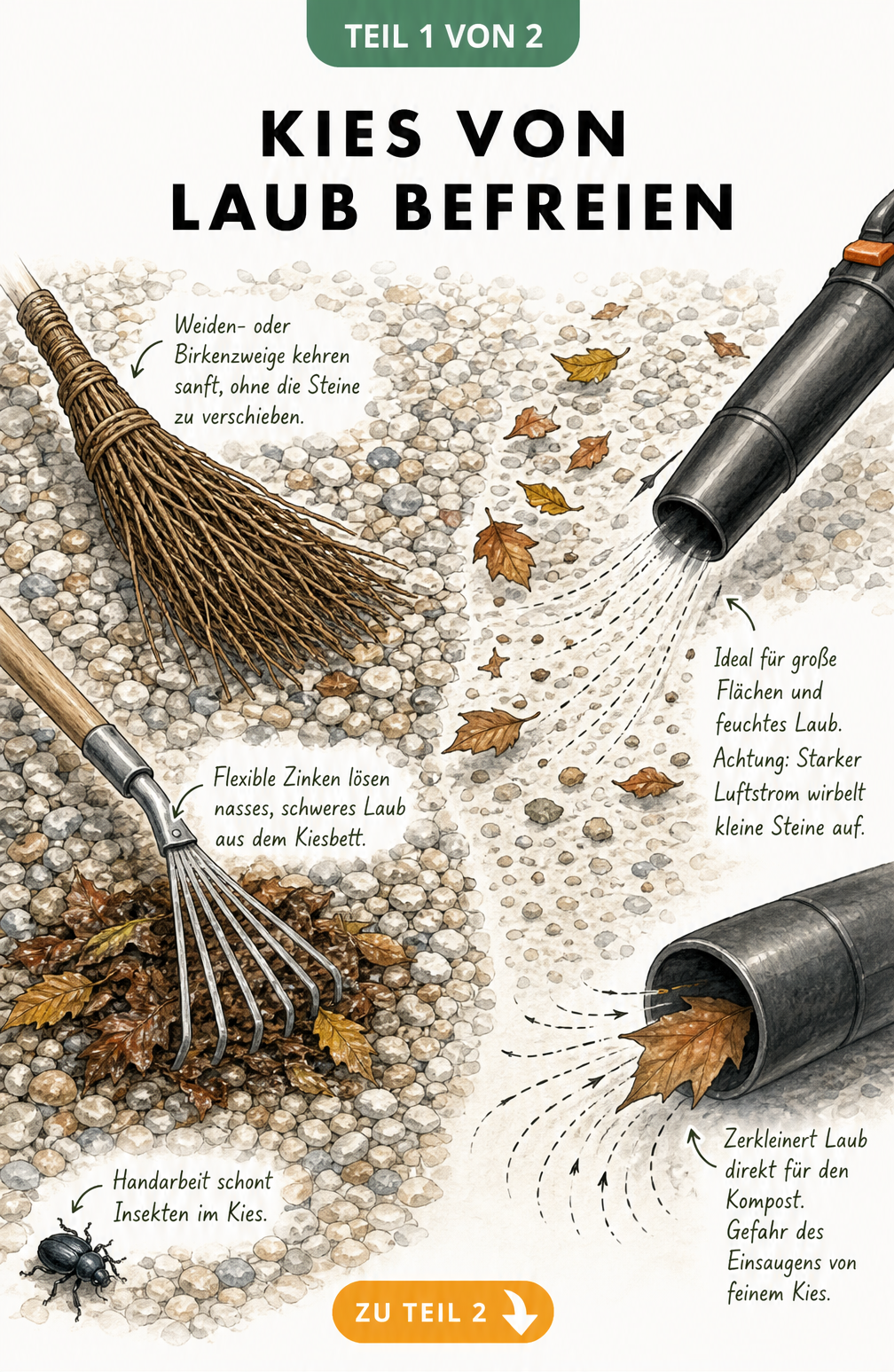 Illustration eines Kieswegs mit Reisigbesen, Laubkratzer und Laubbläser zur Laubentfernung