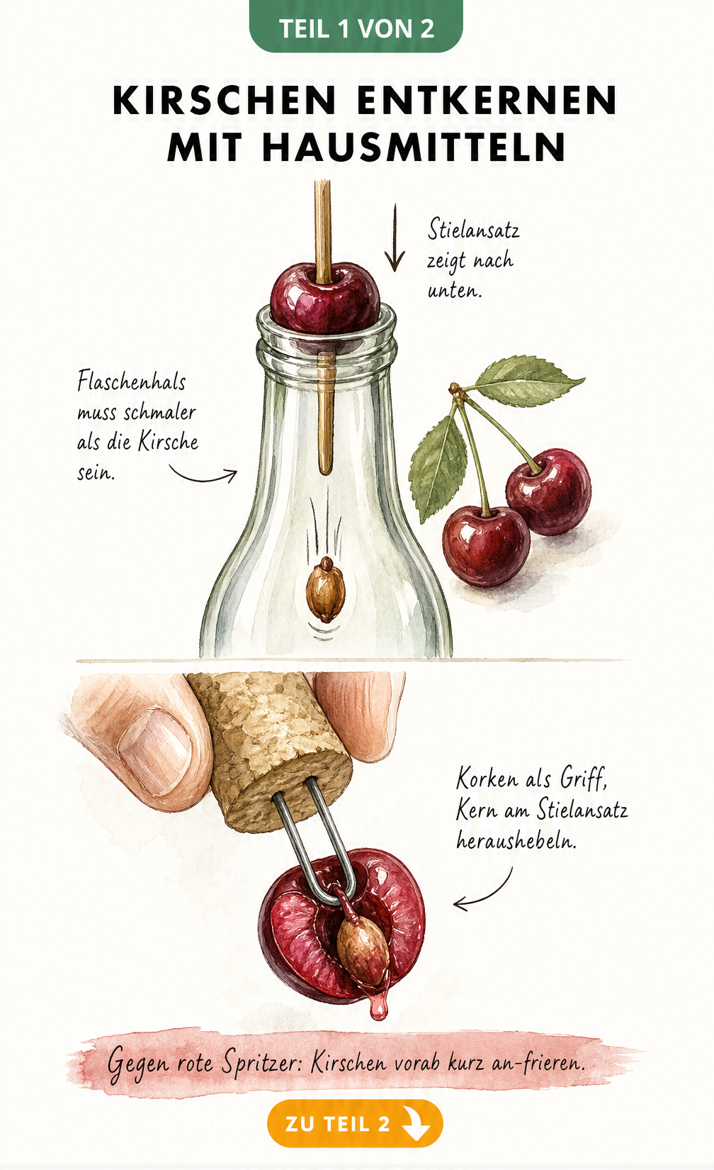 Illustration der Flaschen- und Haarnadel-Methode zum Entkernen von Kirschen