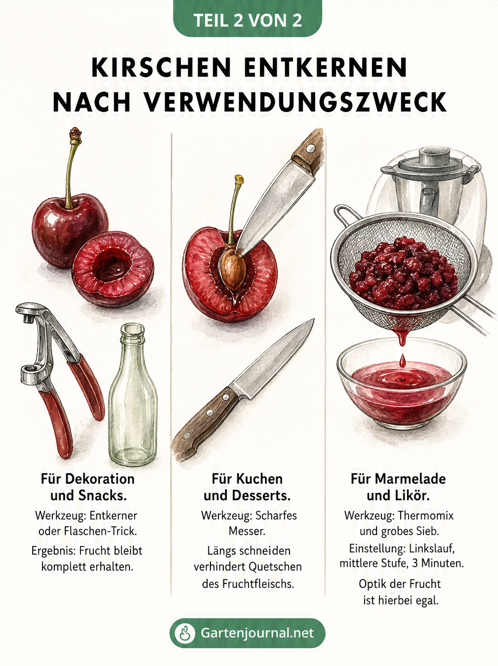 Flussdiagramm zur Wahl der richtigen Entkern-Methode je nach Verwendungszweck der Kirschen
