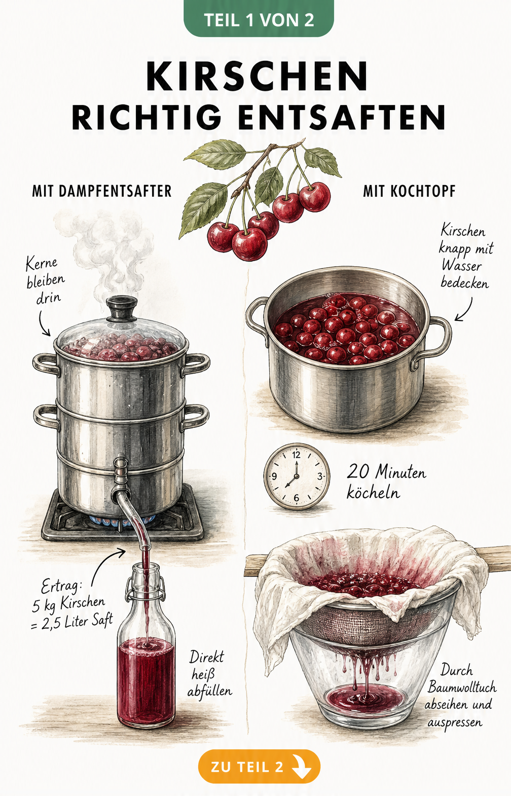 Illustration eines Dampfentsafters und eines Kochtopfs zur Herstellung von Kirschsaft